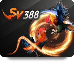 ZingPlay Soi Kèo Cao Thủ Tournament Preparation Tips